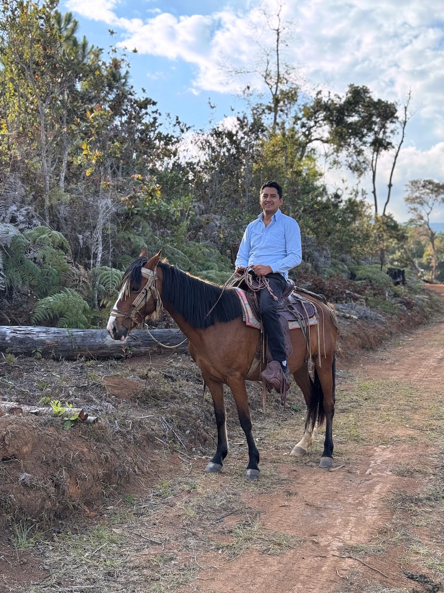 A man rides a saddled horse along a wooded dirt trail in Honduras