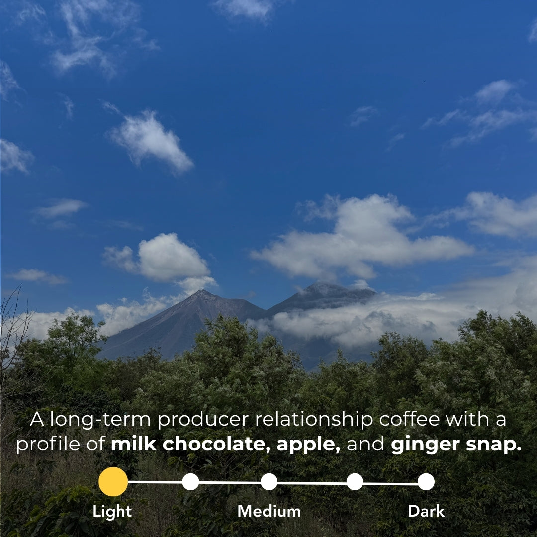 Mountain landscape with long-term producer relationship coffee text: milk chocolate, apple, ginger snap; medium roast