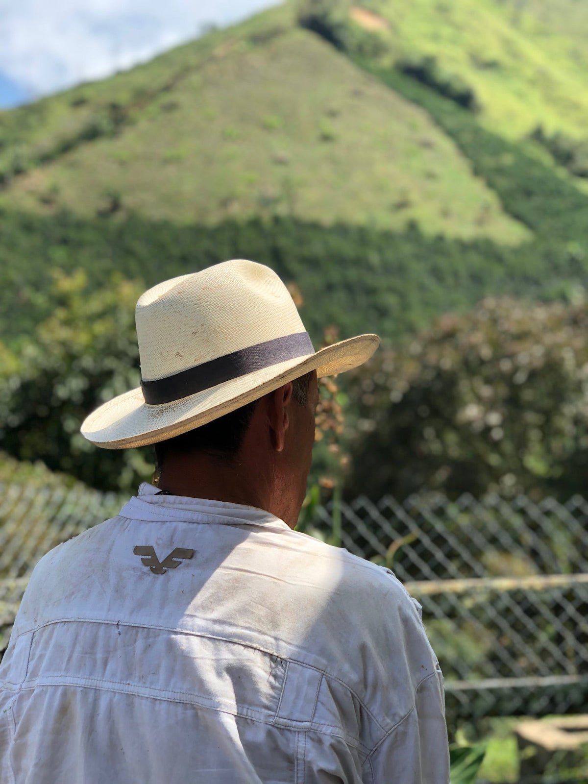 Person in a white shirt and straw hat facing a green mountain behind a chain-link fence