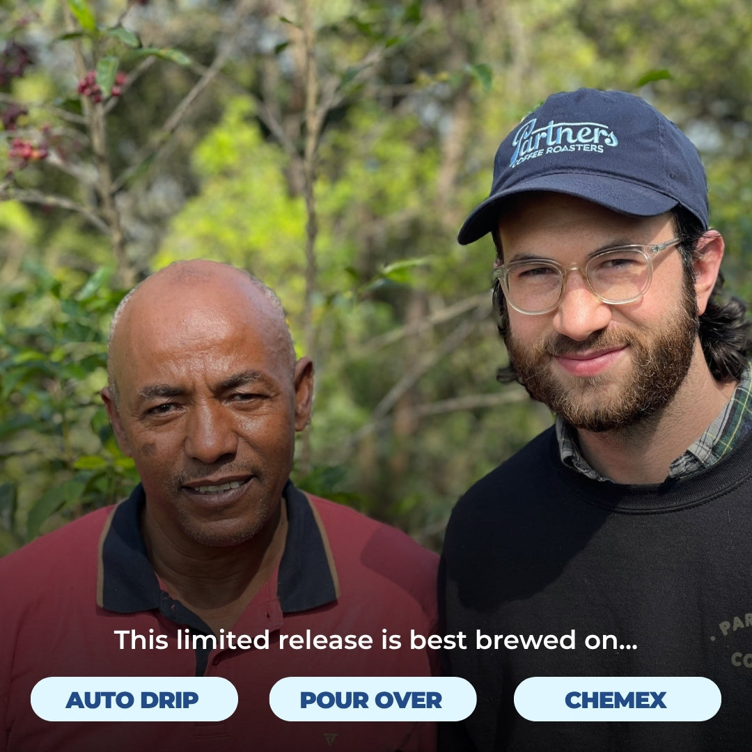Two men pose outdoors beside trees; text promotes limited release coffee brewed by auto drip, pour over, or Chemex