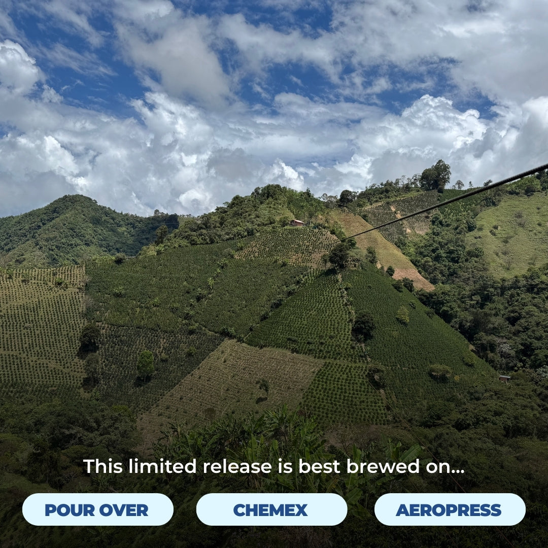 Coffee farm landscape graphic showing this limited release is best brewed on pour over, Chemex, and AeroPress
