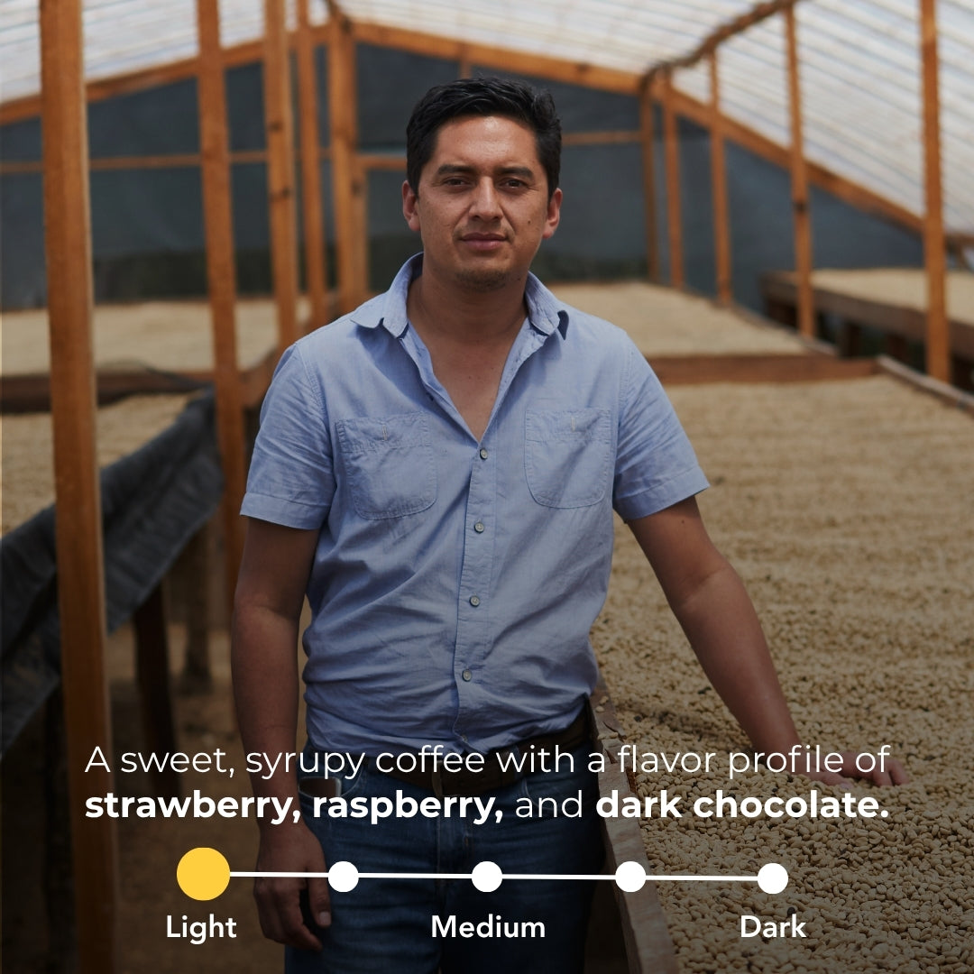 Coffee producer in a drying facility with light roast coffee featuring strawberry, raspberry, and dark chocolate notes