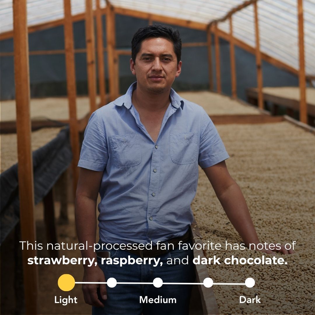 Man standing among coffee drying beds with natural process coffee notes of strawberry, raspberry, and dark chocolate and a light roast