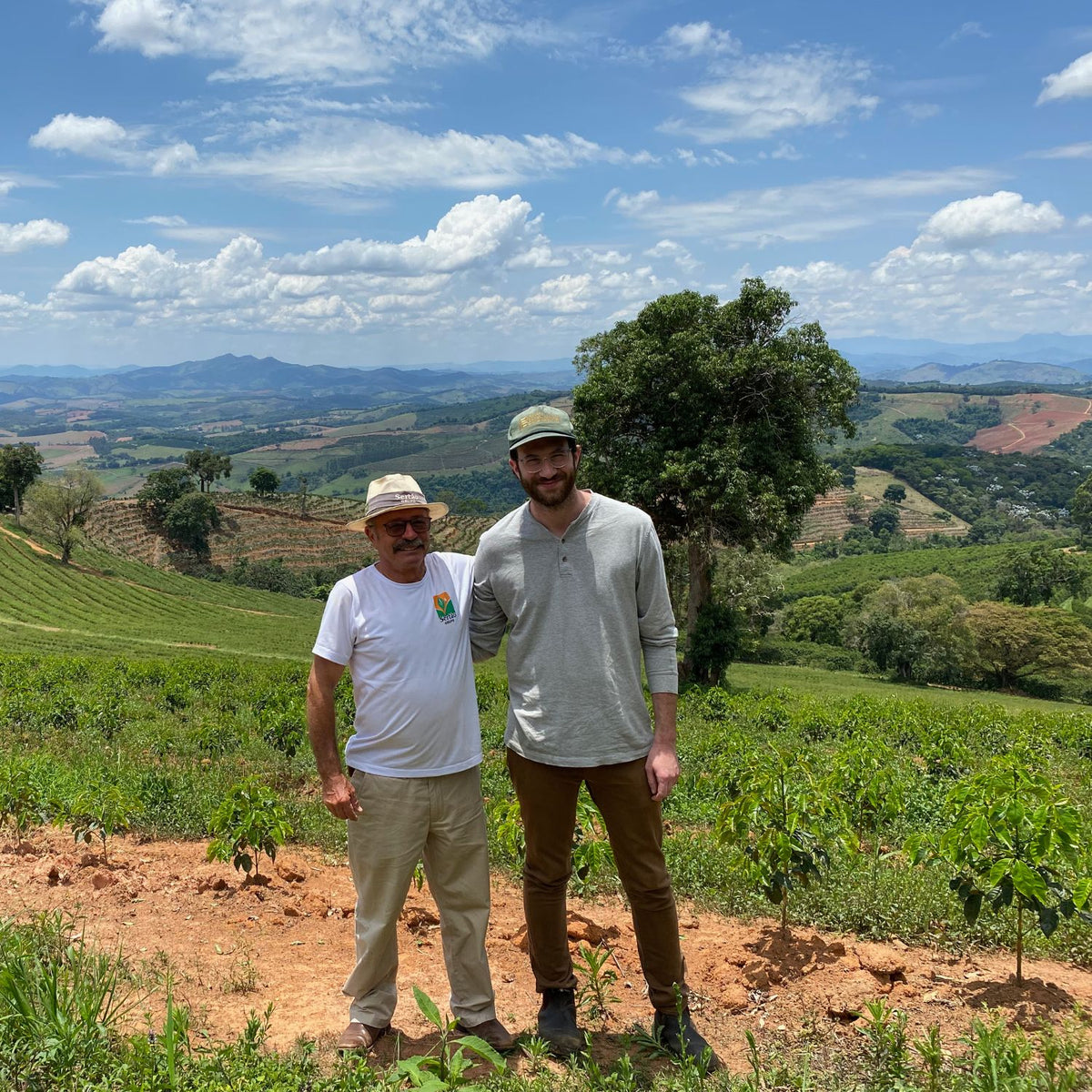 Two men standing on a coffee farm among young coffee plants with rolling hills and a partly cloudy sky