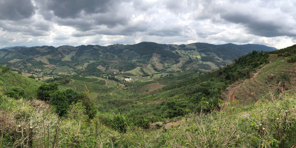 Coffee farms terraced across rolling hills in Huila, Colombia under a cloudy sky