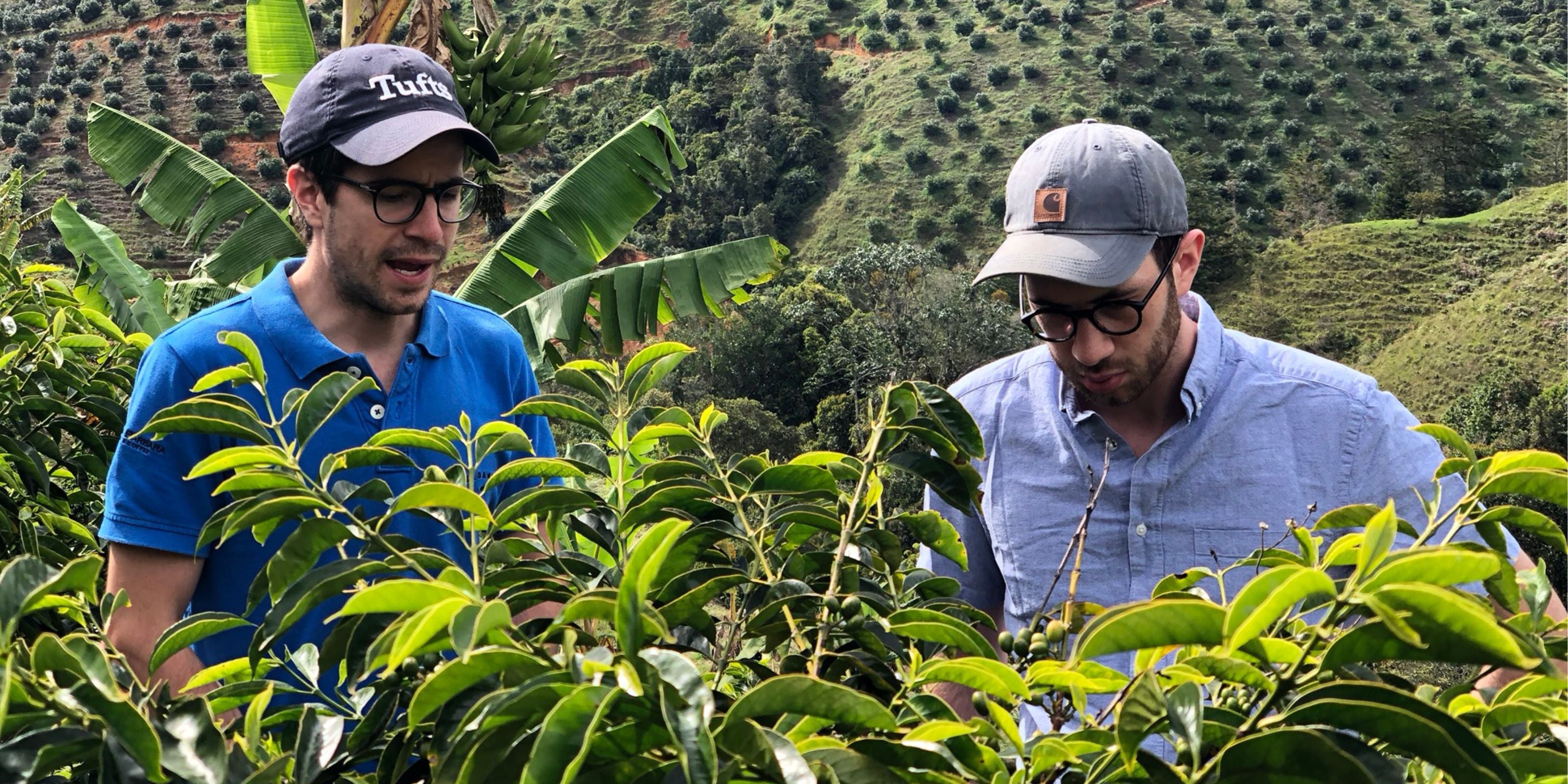 Two people inspect coffee plants in San Carlos, Urrao, Antioquia, Colombia, with green mountain slopes behind them