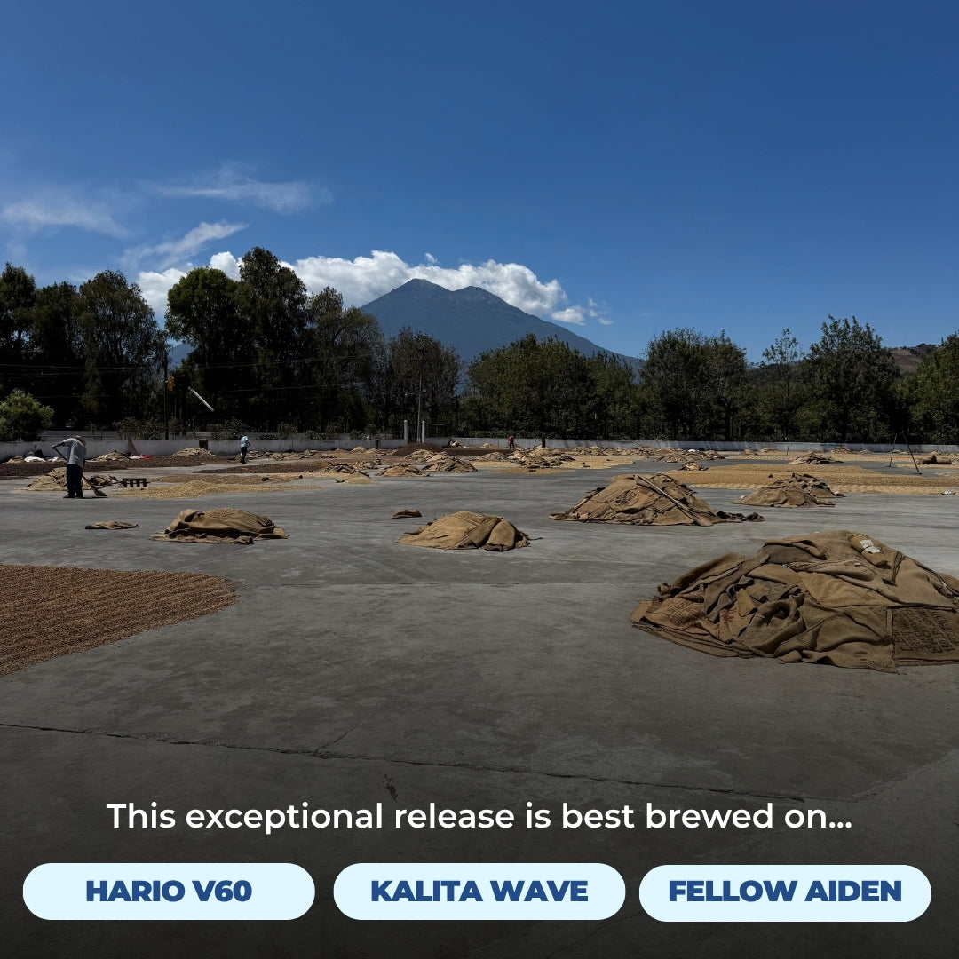 Coffee drying at origin beneath a volcano, with brewing recommendations for Hario V60, Kalita Wave, and Fellow Aiden